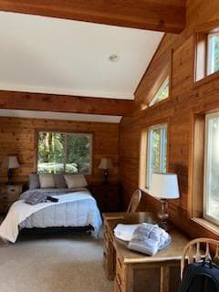 Leschi Cabin Remodel — completed